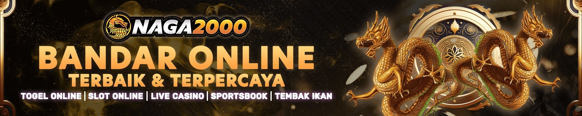 NAGA2000 banner